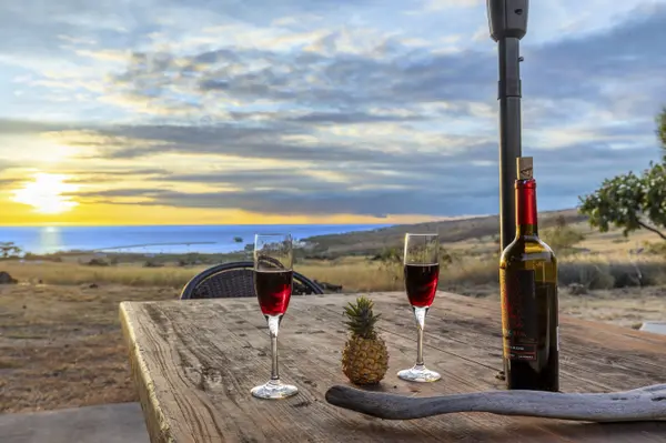 Kamuela, HI 96743,62-3305-J HULUKUPUNA ST