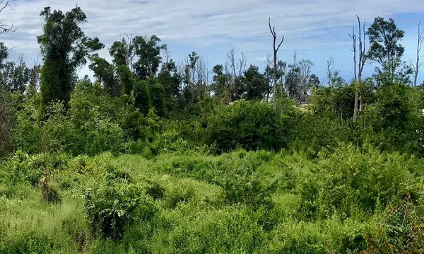 HUANUI RD, Captain Cook, HI 96704