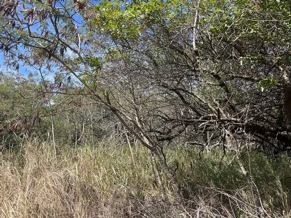 Naalehu, HI 96772,POKO ST