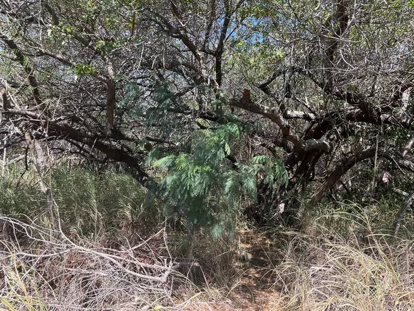 Naalehu, HI 96772,POKO ST