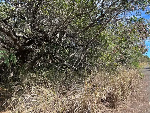 Naalehu, HI 96772,POKO ST