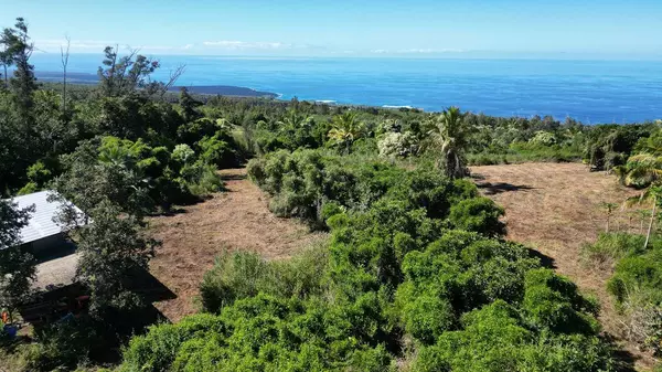 Captain Cook, HI 96704,89-825