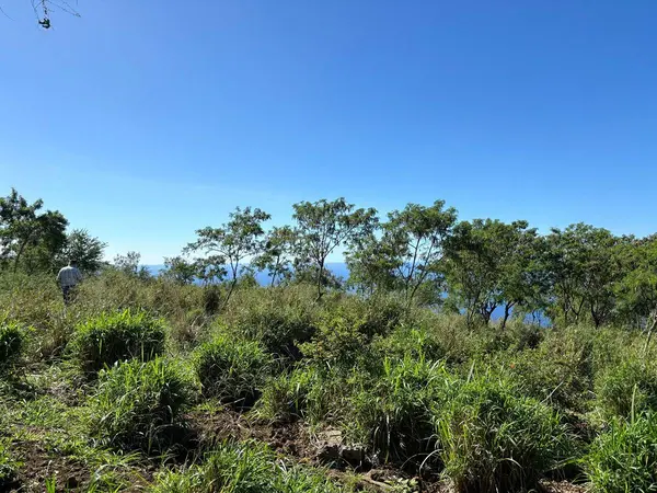 Captain Cook, HI 96704,PRIVATE RD