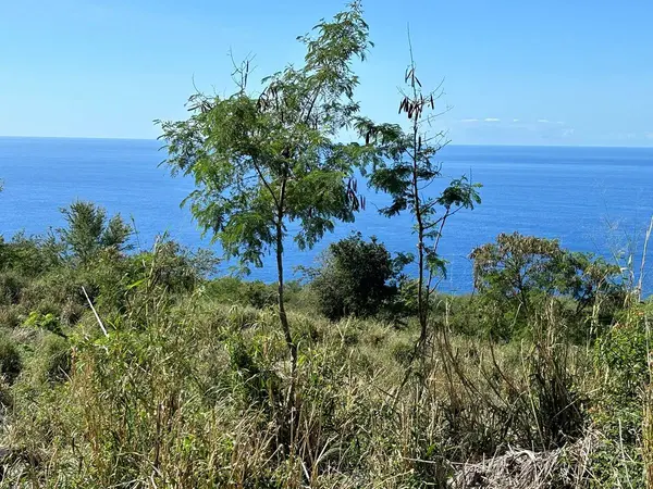 Captain Cook, HI 96704,PRIVATE RD