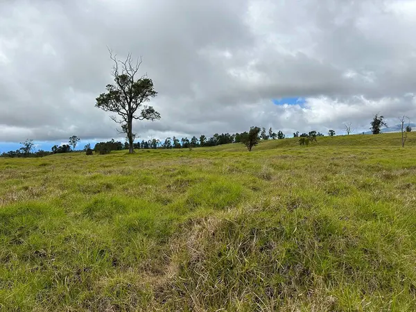 Kealakekua, HI 96725,11-A