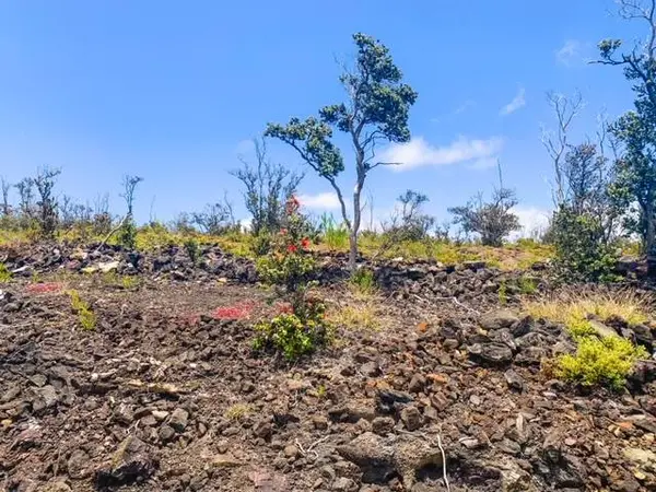 Ocean View, HI 96737,PINEAPPLE PKWY