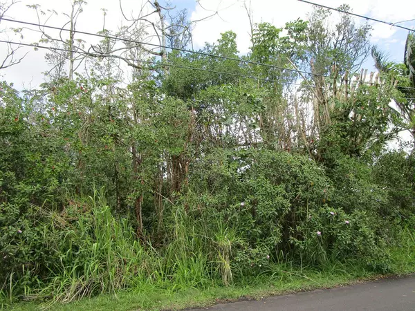Pahoa, HI 96778,MACADAMIA DR