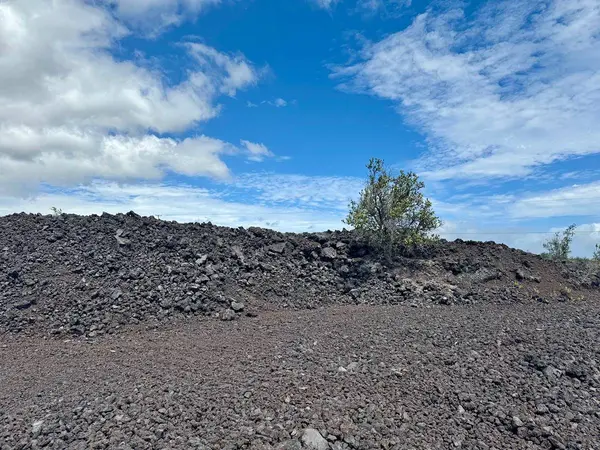 Captain Cook, HI 96704,JACARANDA