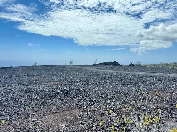 Captain Cook, HI 96704,JACARANDA