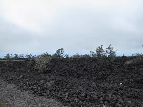 Ocean View, HI 96737,LURLINE LN