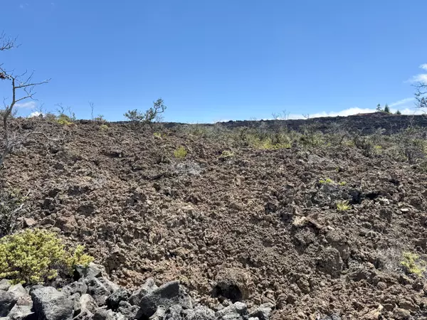 Ocean View, HI 96737,MARLIN BLVD