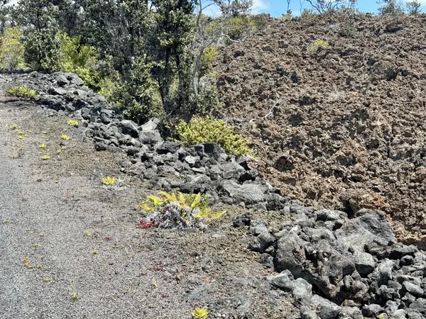 Ocean View, HI 96737,MARLIN BLVD