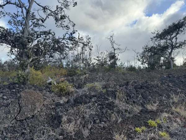 Ocean View, HI 96737,ISLAND BLVD