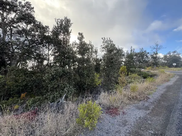 Ocean View, HI 96737,ISLAND BLVD