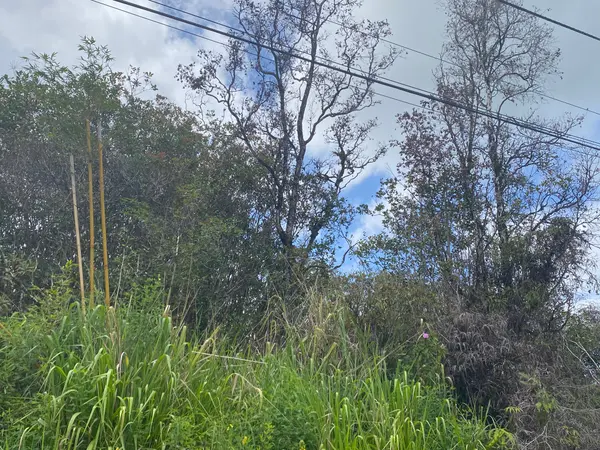 Hilo, HI 96720,320 CHONG ST