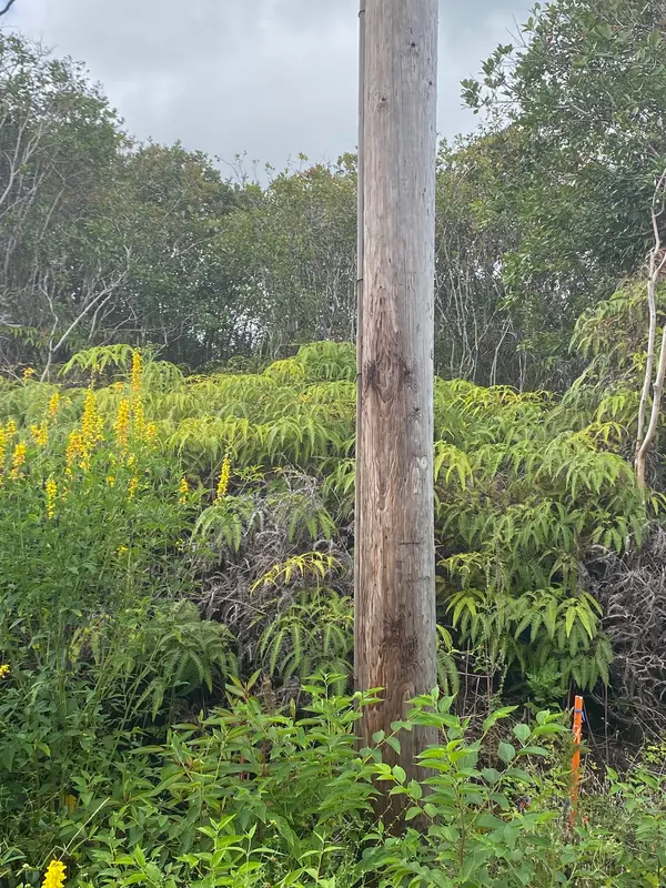 Hilo, HI 96720,320 CHONG ST