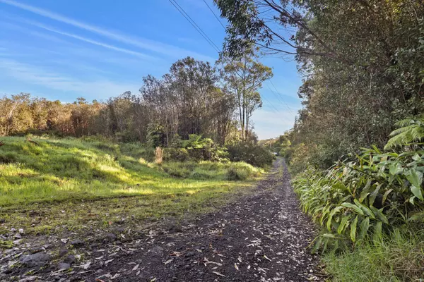 ROAD 1, Volcano, HI 96785
