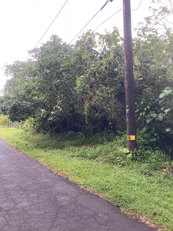 Pahoa, HI 96778,OHIKI ST