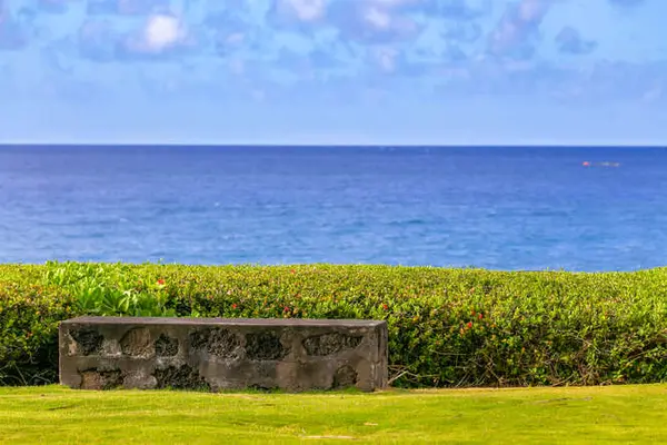 2640 PUUHOLO RD #111, Koloa, HI 96756