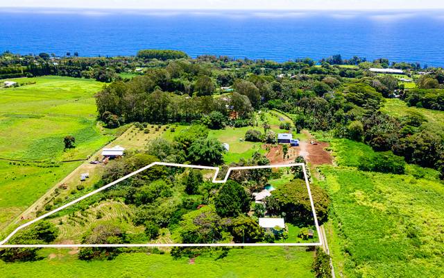 29-256 KULAIWI RD, Hakalau, HI 96710