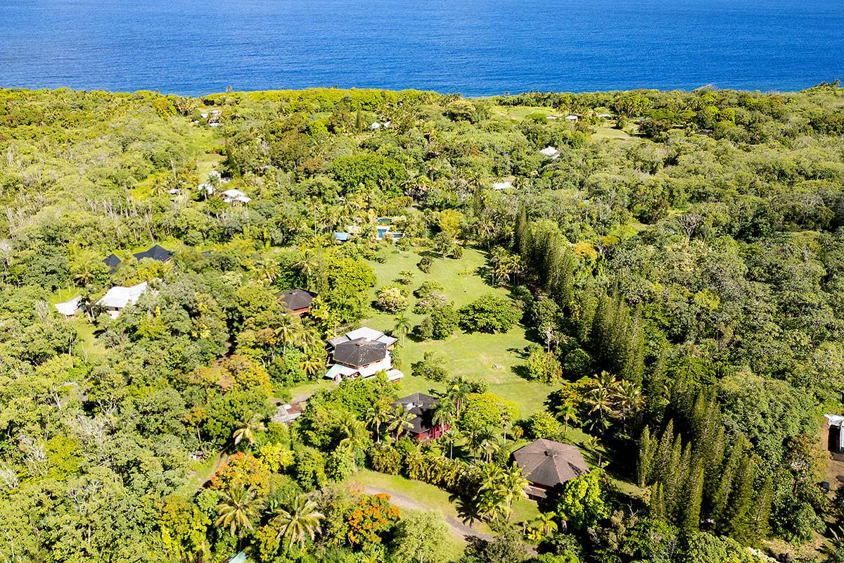 12-6860 KALAPANA KAPOHO BEACH RD, Pahoa, HI 96778