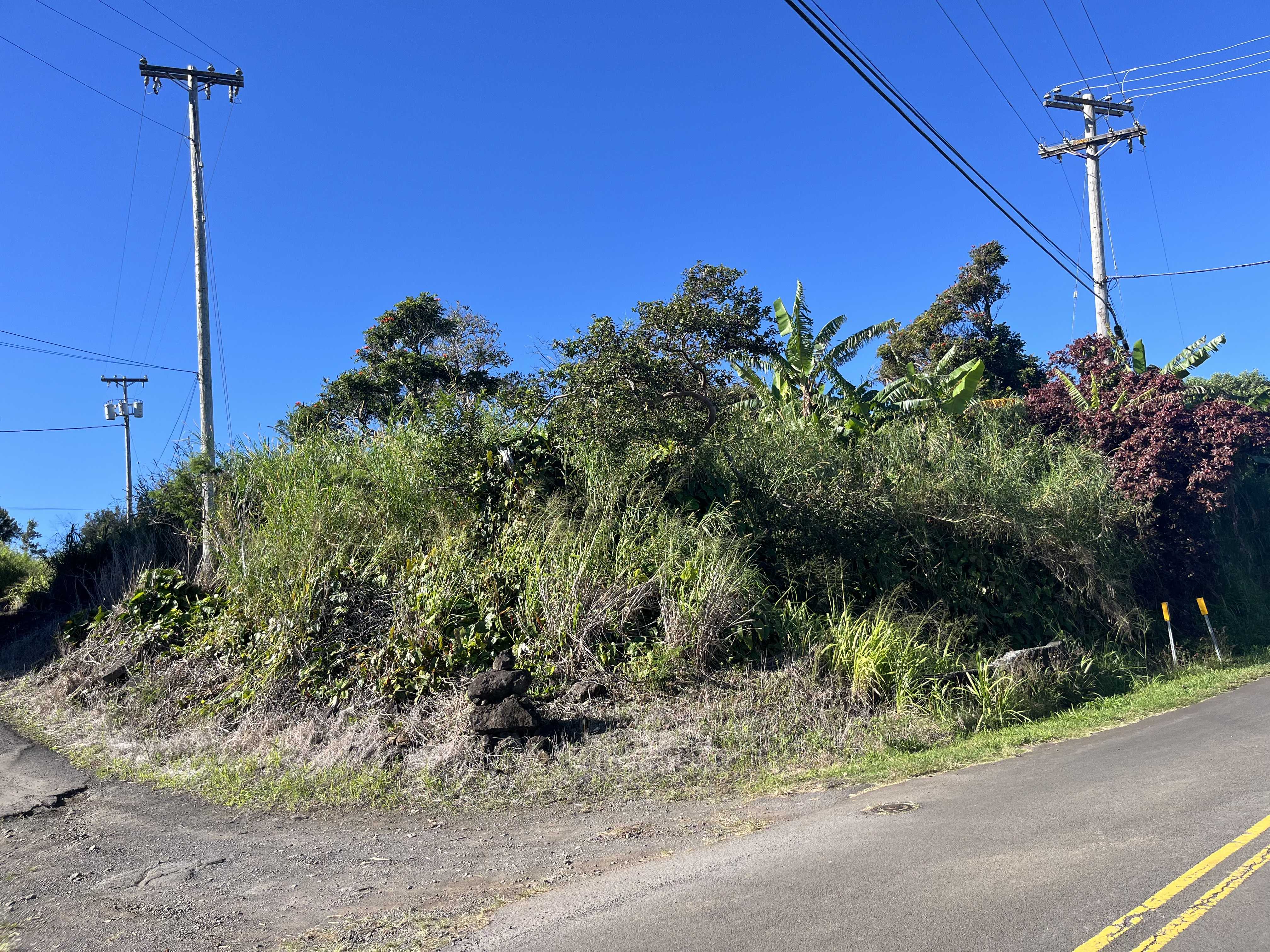 44-2561 KALOPA RD, Honokaa, HI 96727