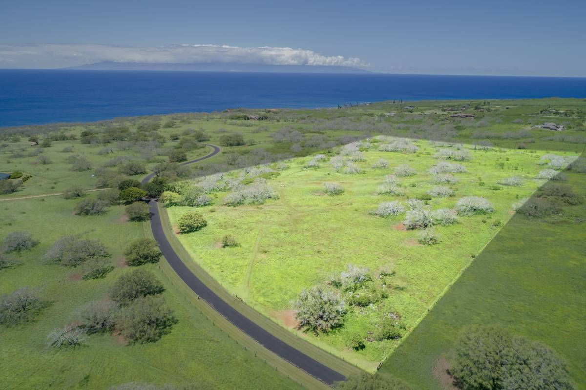 56-135 PUALANI RD, Hawi, HI 96719