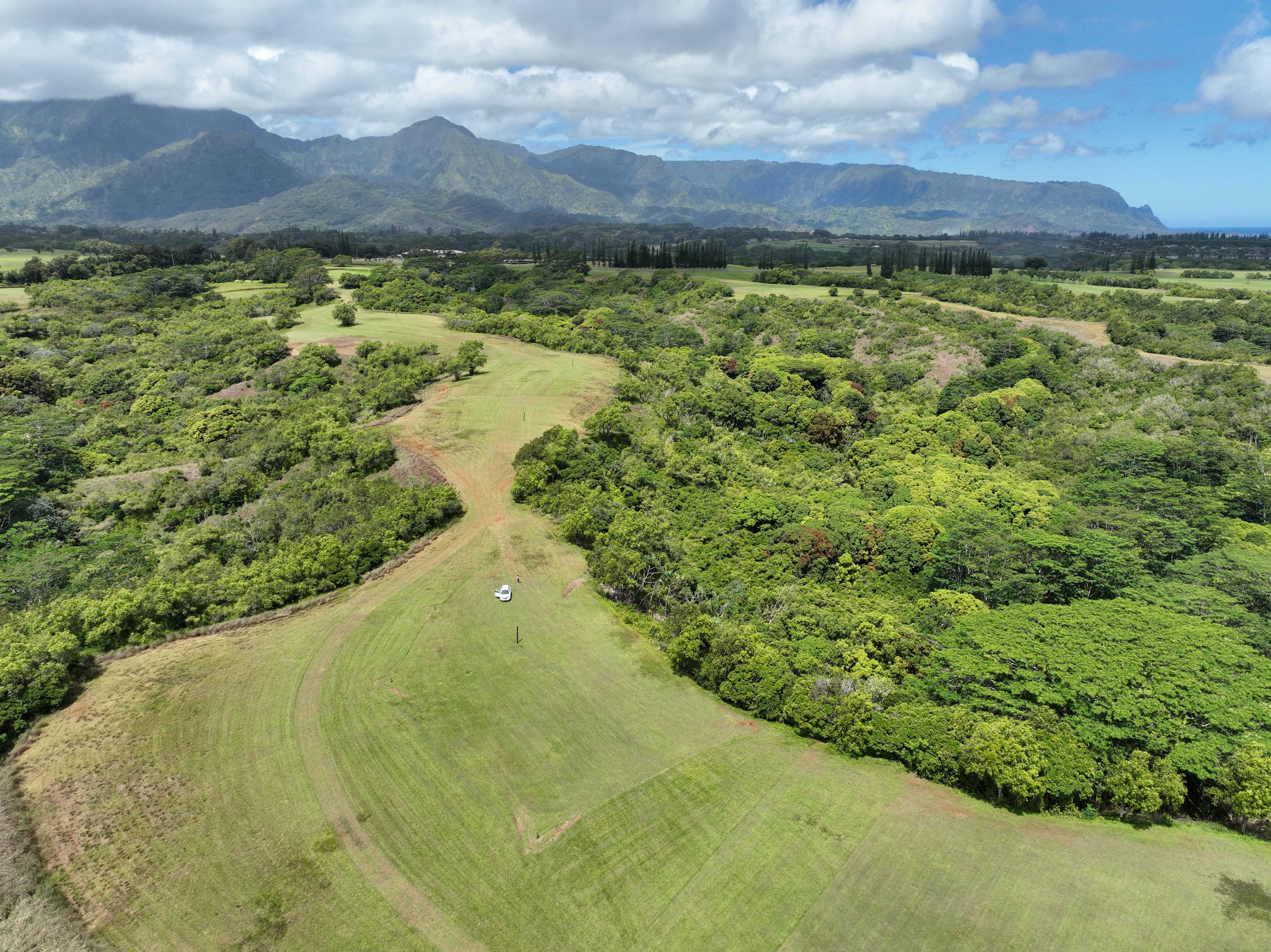 4132 HIHIMANU RD, Kilauea, HI 96754