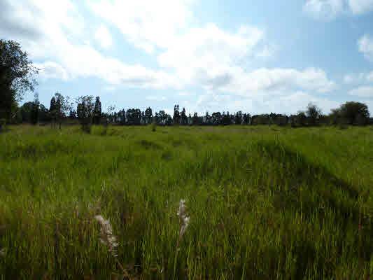 VOLCANO HWY, Mountain View, HI 96785