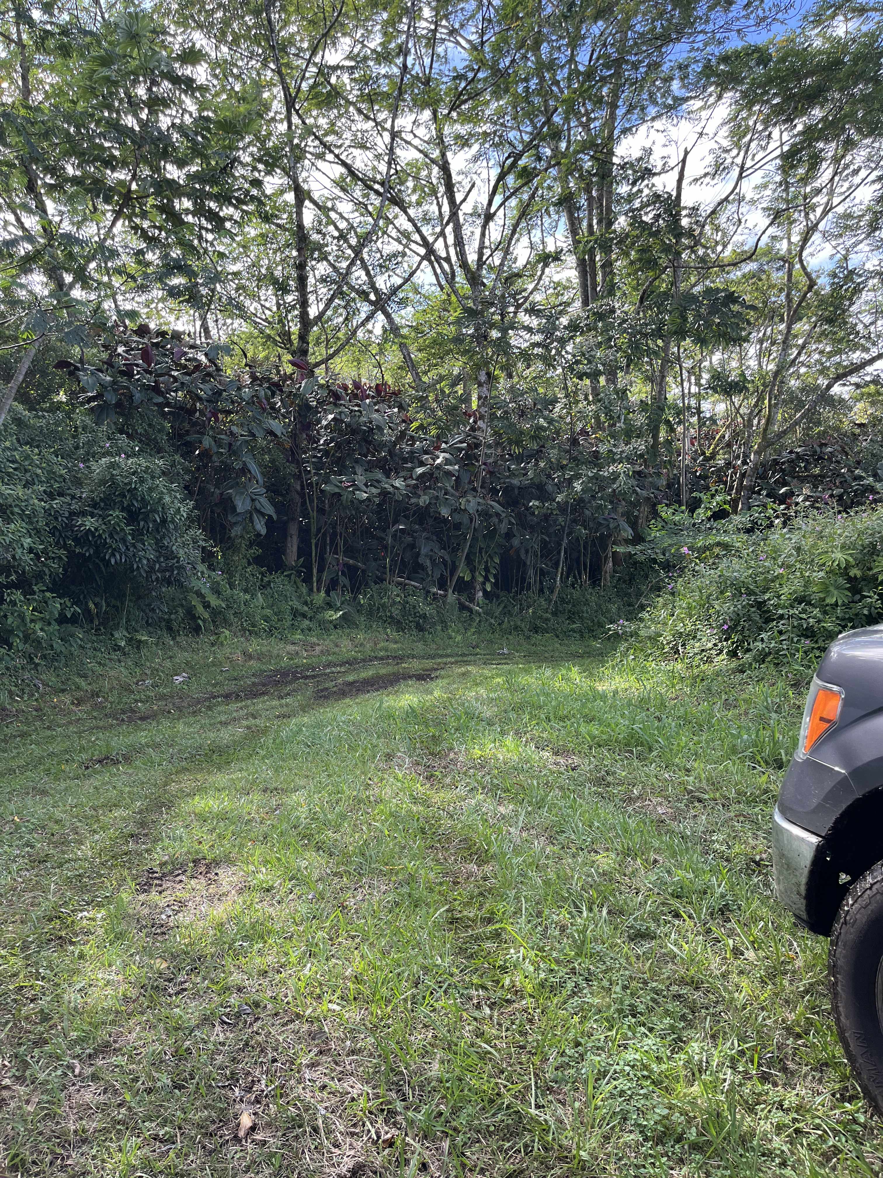 Pahoa, HI 96778,PAHOA KALAPANA RD