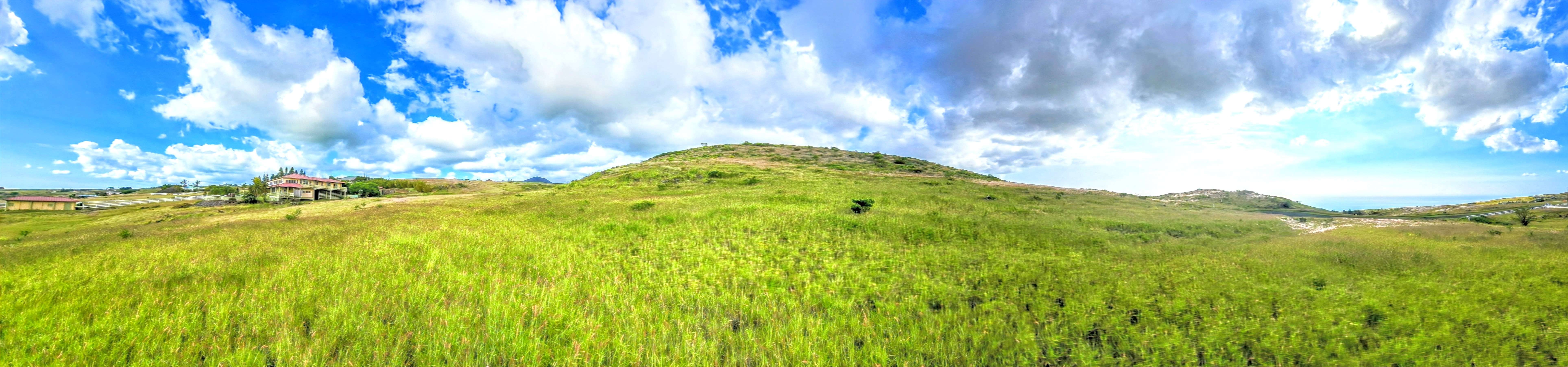 Kapaau, HI 96743,59-111 LEHIWA WAY