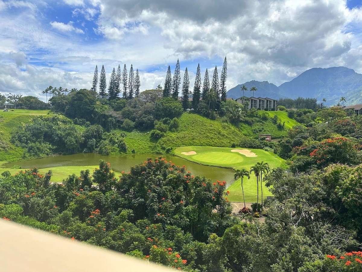 Princeville, HI 96722,5451 KA HAKU RD #11