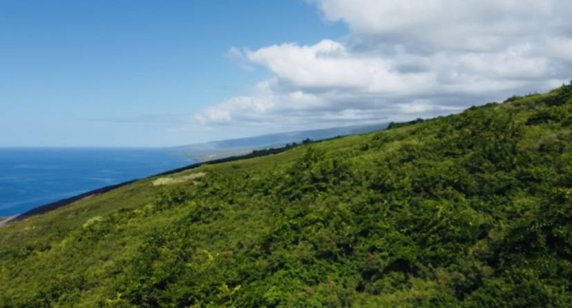 110 EA RD, Captain Cook, HI 96704