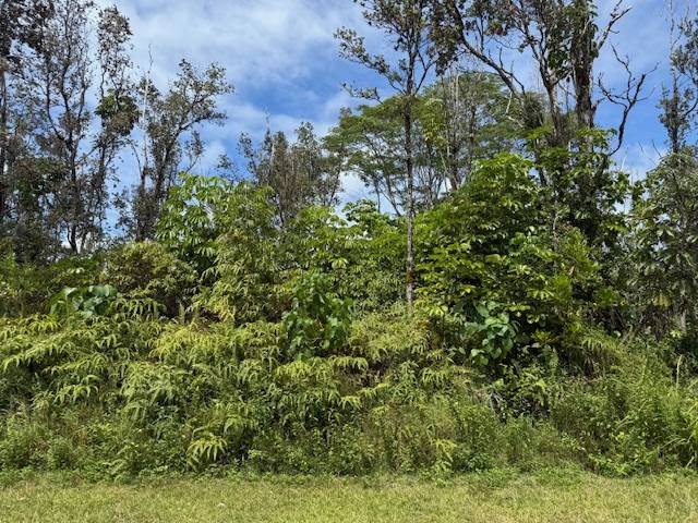 KUMU ST, Pahoa, HI 96778
