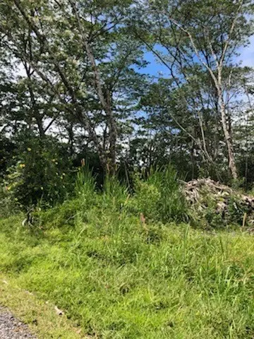 20TH AVE (MELIA), Keaau, HI 96749