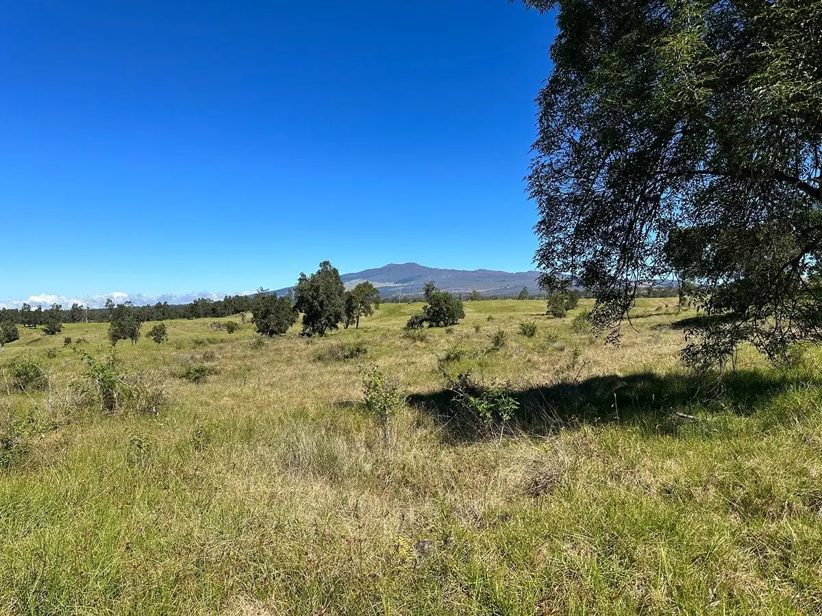 Kealakekua, HI 96725,11-D