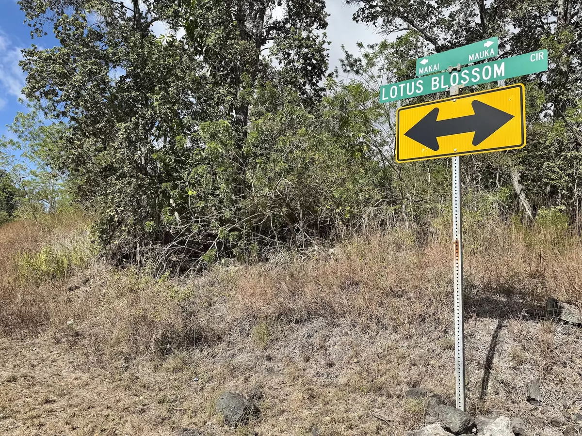 Ocean View, HI 96737,LOTUS BLOSSOM CIRCLE MAUKA