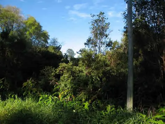 VOLCANO RD, Volcano, HI 96785