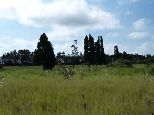 VOLCANO HWY, Volcano, HI 96785