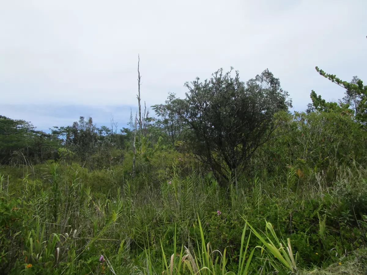 Keaau, HI 96749,4TH AVE