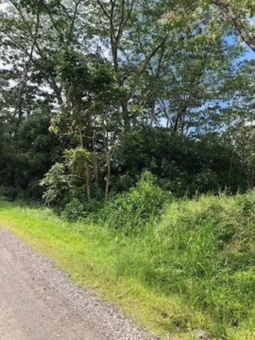 20TH AVE (MELIA), Keaau, HI 96749