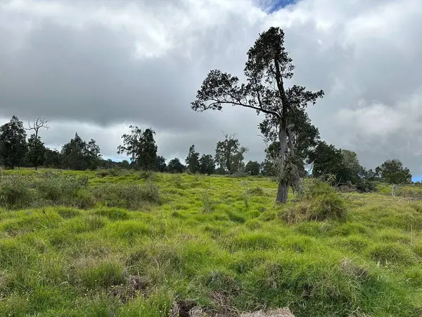 Kealakekua, HI 96725,11-D