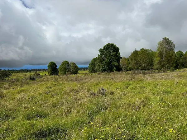 Kealakekua, HI 96725,11-D
