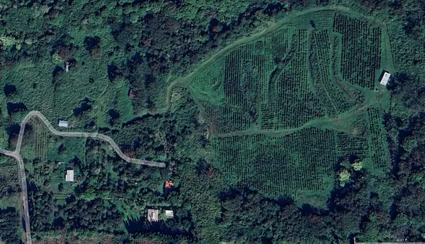 Captain Cook, HI 96704