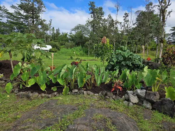 Keaau, HI 96749,15-1473 15TH AVE