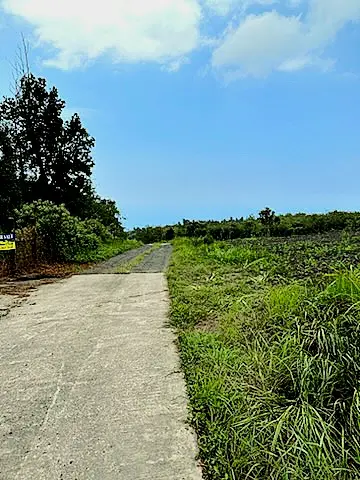 Captain Cook, HI 96704