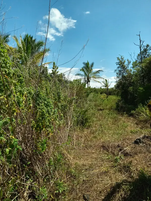 Captain Cook, HI 96704