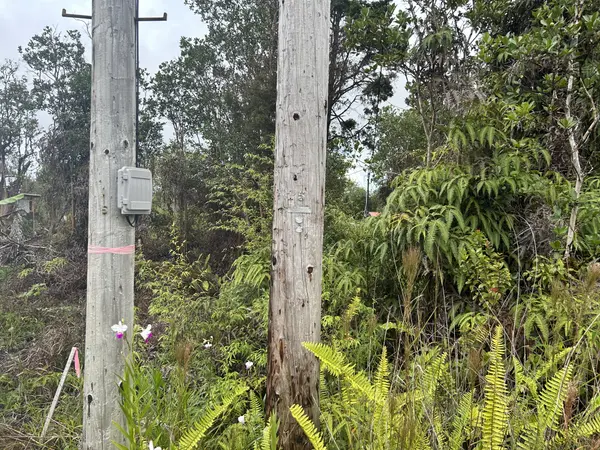 11-1234 ALA NAULANI RD, Volcano, HI 96785