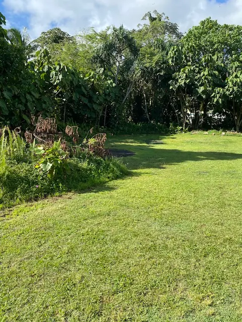 15-2714 OPAKAPAKA ST, Pahoa, HI 96778