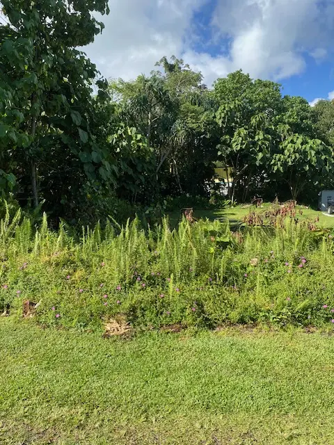 15-2714 OPAKAPAKA ST, Pahoa, HI 96778